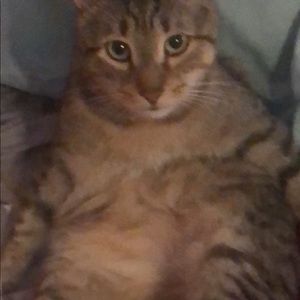 Meet your Posher, Sandra